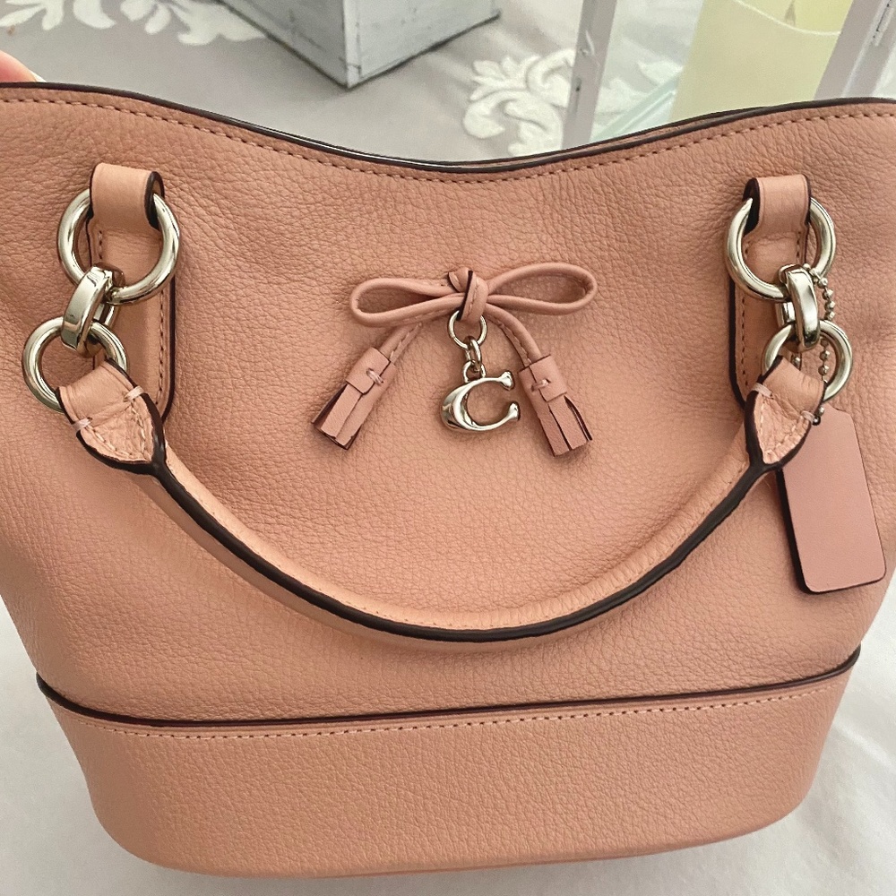 Coach Mini Ally Bucket Bag